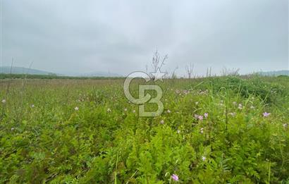 BÜYÜK BAŞ HAYVANCILIK İÇİN PROJESİ VE RUHSATI HAZIR 5519M2 ARAZİ