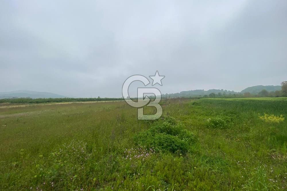 BÜYÜK BAŞ HAYVANCILIK İÇİN PROJESİ VE RUHSATI HAZIR 5519M2 ARAZİ