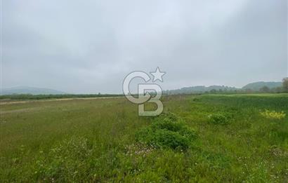 BÜYÜK BAŞ HAYVANCILIK İÇİN PROJESİ VE RUHSATI HAZIR 5519M2 ARAZİ