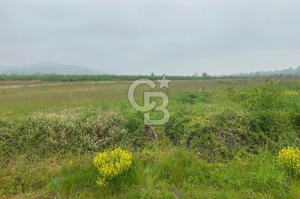 BÜYÜK BAŞ HAYVANCILIK İÇİN PROJESİ VE RUHSATI HAZIR 5519M2 ARAZİ