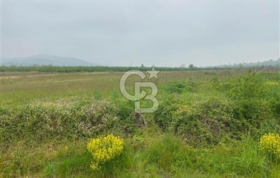 BÜYÜK BAŞ HAYVANCILIK İÇİN PROJESİ VE RUHSATI HAZIR 5519M2 ARAZİ