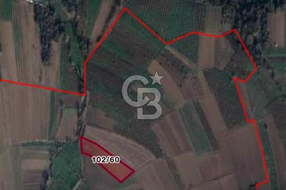 BÜYÜK BAŞ HAYVANCILIK İÇİN PROJESİ VE RUHSATI HAZIR 5519M2 ARAZİ