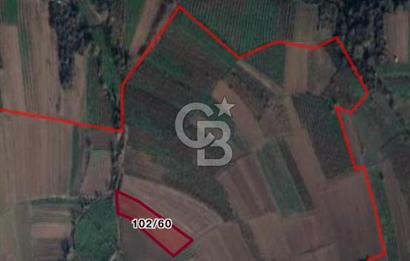 BÜYÜK BAŞ HAYVANCILIK İÇİN PROJESİ VE RUHSATI HAZIR 5519M2 ARAZİ