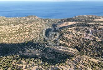 ASSOS'UN İNCİSİ BEKTAŞTA SATILIK ZEYTİNLİK - 1 - 350003