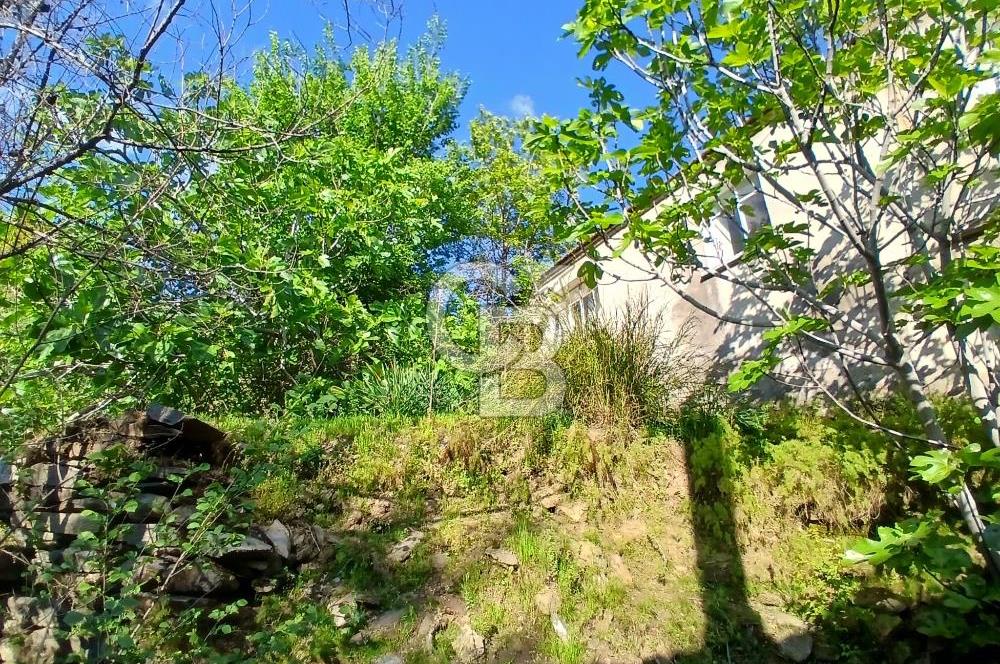 Köy Merkezinde 310 m² Taş Ev Elektrik ve Su Abonelikleri Hazır