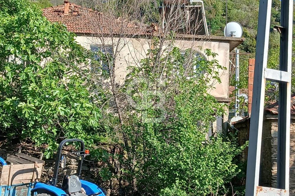 Köy Merkezinde 310 m² Taş Ev Elektrik ve Su Abonelikleri Hazır