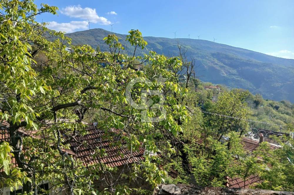 Köy Merkezinde 310 m² Taş Ev Elektrik ve Su Abonelikleri Hazır