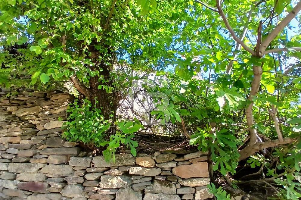 Köy Merkezinde 310 m² Taş Ev Elektrik ve Su Abonelikleri Hazır