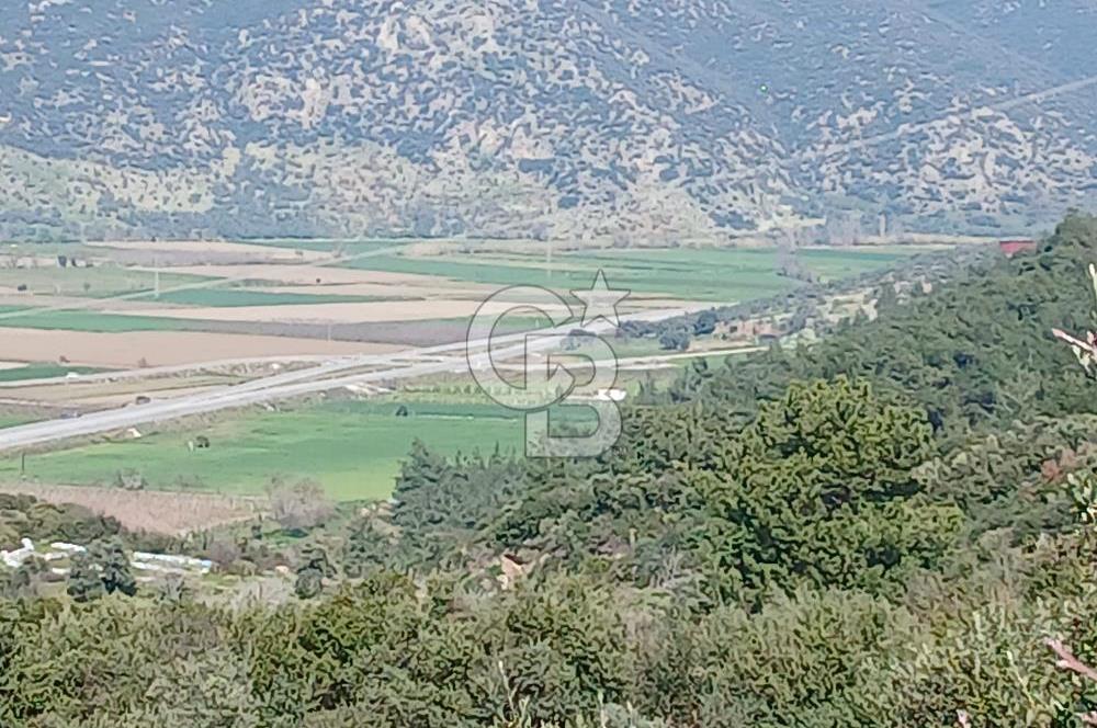 Tire Büyükkalede Eşsiz Manzaralı 44 Dönüm Zeytinlik ve Yatırım