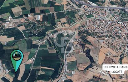 Balıkesir Susurluk'ta YASA'ya 250m Yatırımlık Fırsat Tarla
