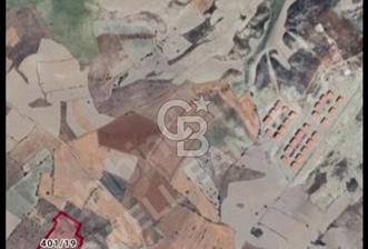 ANKARA BEYPAZARI AYVAŞIK MAH.OGUZKENT TAŞLI TARLA MEVKİİ SATILIK 6.500 M2 TARLA - 4 - 350083