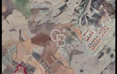 ANKARA BEYPAZARI AYVAŞIK MAH.OGUZKENT TAŞLI TARLA MEVKİİ SATILIK 6.500 M2 TARLA
