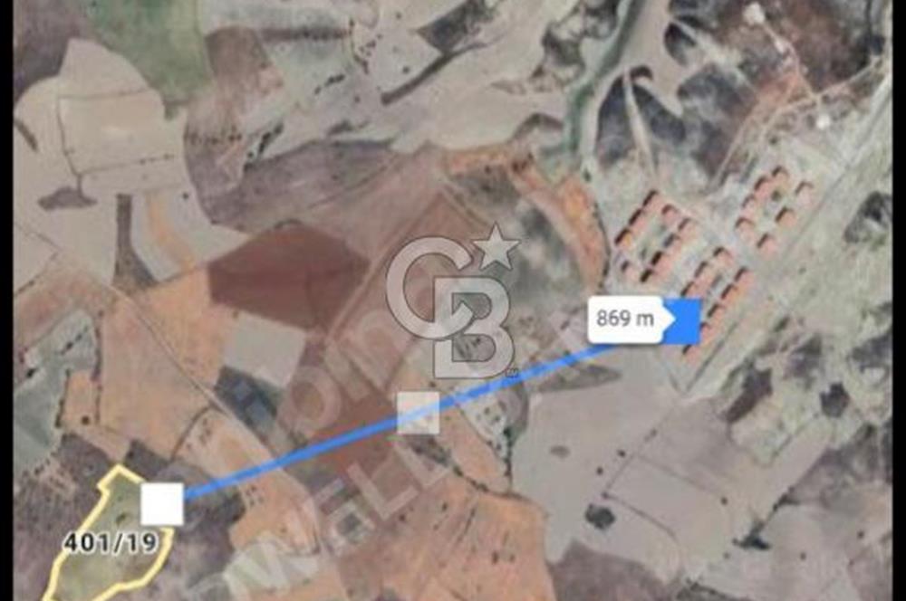 ANKARA BEYPAZARI AYVAŞIK MAH.OGUZKENT TAŞLI TARLA MEVKİİ SATILIK 6.500 M2 TARLA