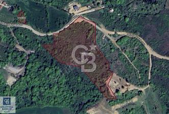 CB BLACK'TAN KOCAELİ GÖLCÜK SELİMİYE'DE 20.867m² SATILIK TARLA - 11 - 350040