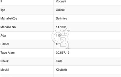 CB BLACK'TAN KOCAELİ GÖLCÜK SELİMİYE'DE 20.867m² SATILIK TARLA