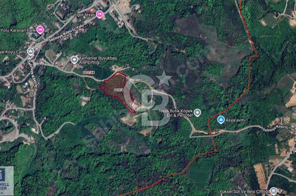 CB BLACK'TAN KOCAELİ GÖLCÜK SELİMİYE'DE 20.867m² SATILIK TARLA