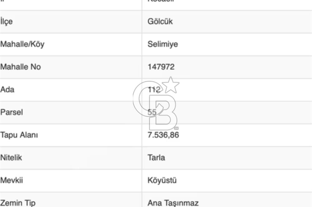 CB BLACK'TAN KOCAELİ GÖLCÜK SELİMİYE'DE SATILIK TARLA