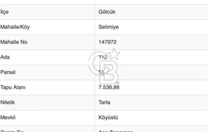 CB BLACK'TAN KOCAELİ GÖLCÜK SELİMİYE'DE SATILIK TARLA