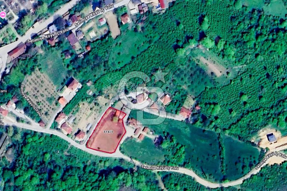CB BLACK'TAN KOCAELİ GÖLCÜK SELİMİYE'DE SATILIK BAHÇE