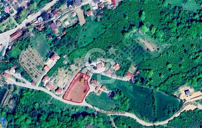 CB BLACK'TAN KOCAELİ GÖLCÜK SELİMİYE'DE SATILIK BAHÇE