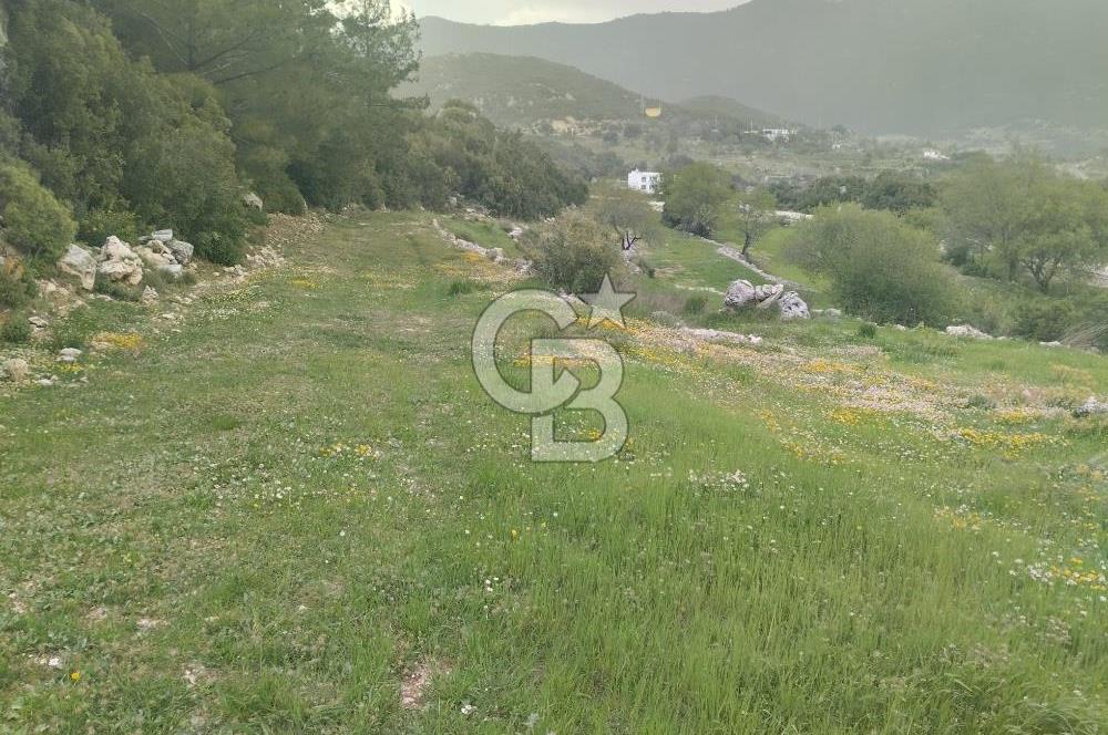 kaş ikizce'de villa inşa edebileceğiniz tarlanız