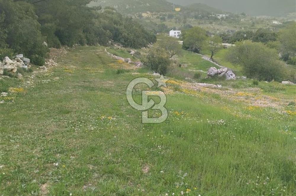 kaş ikizce'de villa inşa edebileceğiniz tarlanız