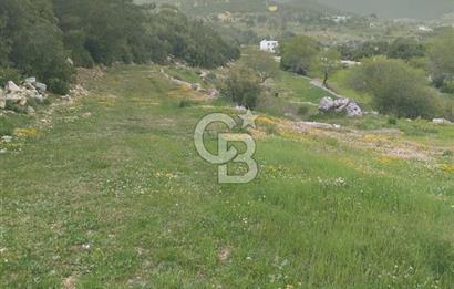 kaş ikizce'de villa inşa edebileceğiniz tarlanız