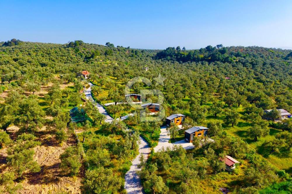 AYVALIKTA ÇİFTLİK / MALİKANE / OTEL KONSEPT SİZE KALMIŞ