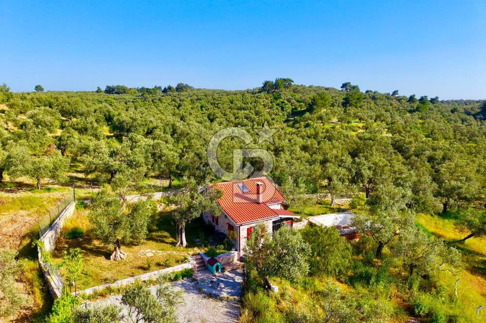 AYVALIKTA ÇİFTLİK / MALİKANE / OTEL KONSEPT SİZE KALMIŞ