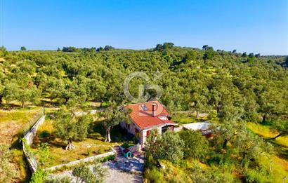 AYVALIKTA ÇİFTLİK / MALİKANE / OTEL KONSEPT SİZE KALMIŞ