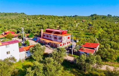AYVALIKTA ÇİFTLİK / MALİKANE / OTEL KONSEPT SİZE KALMIŞ