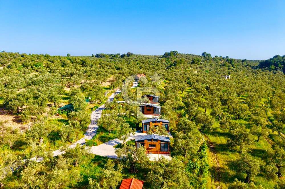 AYVALIKTA ÇİFTLİK / MALİKANE / OTEL KONSEPT SİZE KALMIŞ