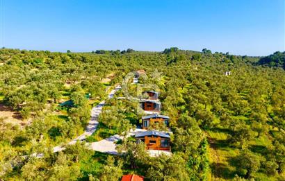 AYVALIKTA ÇİFTLİK / MALİKANE / OTEL KONSEPT SİZE KALMIŞ