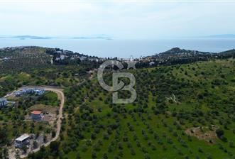 Gömeç Karaağaç'ta Artur'a Komşu Satılık İmarlı Arsalar - 9 - 350128