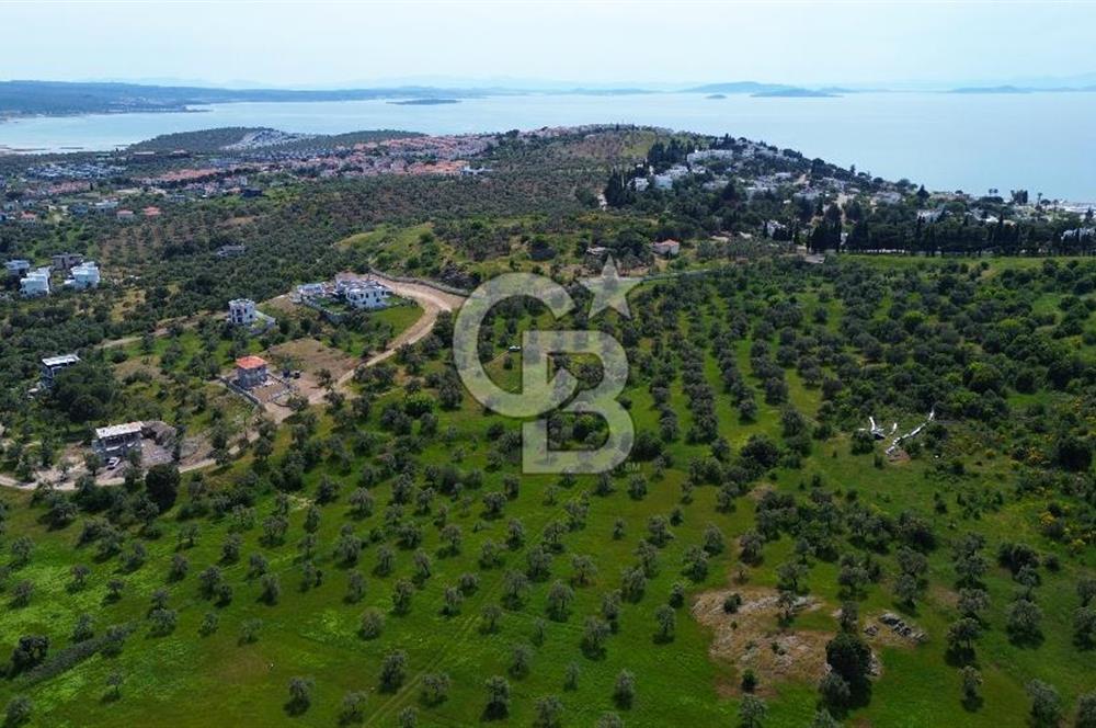 Gömeç Karaağaç'ta Artur'a Komşu Satılık İmarlı Arsalar