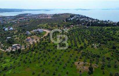 Gömeç Karaağaç'ta Artur'a Komşu Satılık İmarlı Arsalar