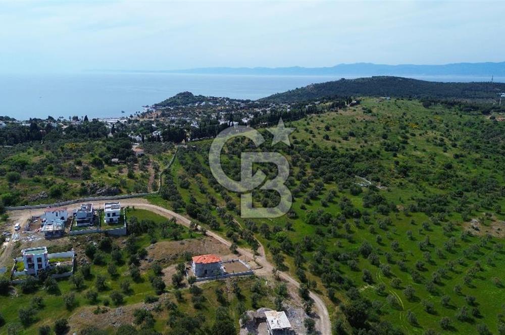 Gömeç Karaağaç'ta Artur'a Komşu Satılık İmarlı Arsalar