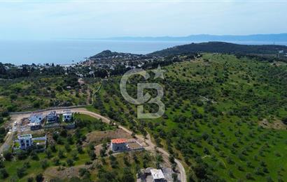 Gömeç Karaağaç'ta Artur'a Komşu Satılık İmarlı Arsalar