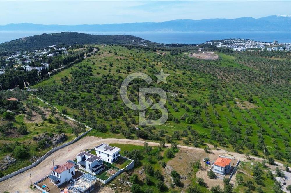 Gömeç Karaağaç'ta Artur'a Komşu Satılık İmarlı Arsalar