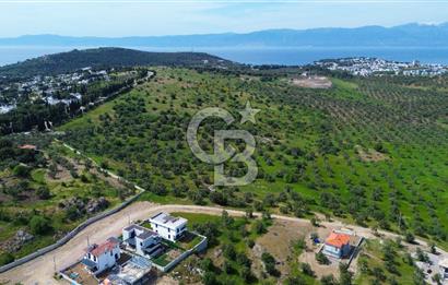 Gömeç Karaağaç'ta Artur'a Komşu Satılık İmarlı Arsalar
