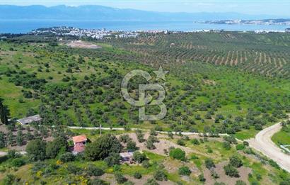 Gömeç Karaağaç'ta Artur'a Komşu Satılık İmarlı Arsalar