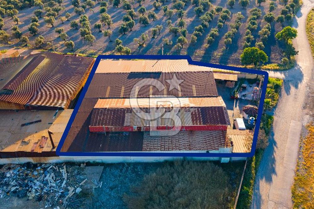 Foça Bağarası Sanayi Sitesinde Satılık Fabrika