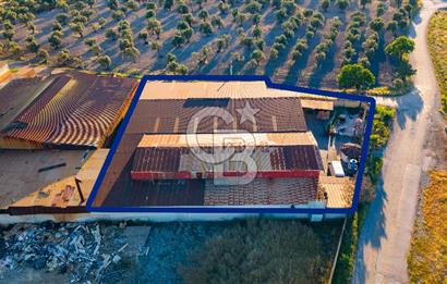 Foça Bağarası Sanayi Sitesinde Satılık Fabrika