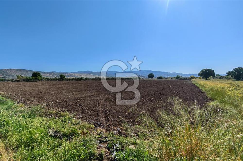 İzmir Dikili Demirtaş Köyü Satılık Tarla 10 Dönüm