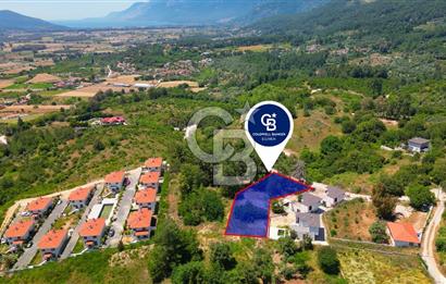 Muğla Ula Çıtlık’ta Satılık 1.550 m² Arsa