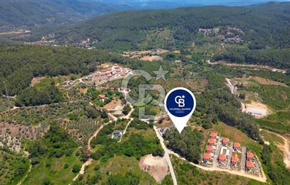 Muğla Ula Çıtlık’ta Satılık 1.550 m² Arsa