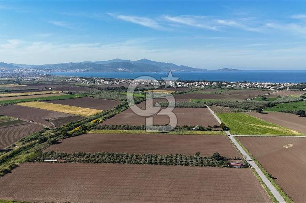 İzmir Dikili Demirtaş Köyü Satılık Tarla 10 Dönüm