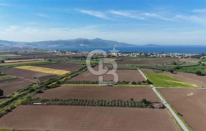 İzmir Dikili Demirtaş Köyü Satılık Tarla 10 Dönüm