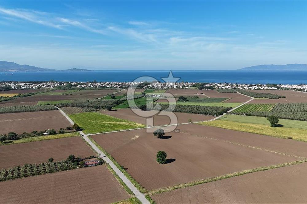 İzmir Dikili Demirtaş Köyü Satılık Tarla 10 Dönüm