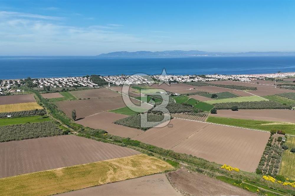 İzmir Dikili Demirtaş Köyü Satılık Tarla 10 Dönüm
